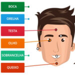 Parts of the Face in Portuguese