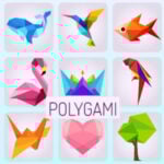 POLYGAMI: Polyhedron Puzzles