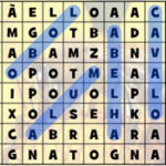 Portuguese Word Search