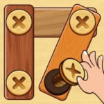 SCREW PUZZLE Game Online