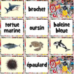 Sea Animals Memory in French