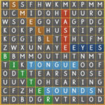 The Senses Word Search