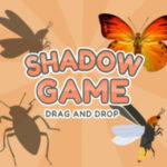 SHADOW DRAG and DROP Game