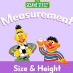 Size and Height: Sesame Street