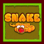 SNAKE Game Online