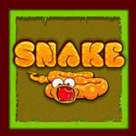 Crazy Snake Io 🕹️ Play Now on GamePix