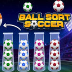 Soccer Ball Sorting