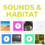 Sounds and Habitat