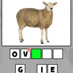 Spanish Pic Quiz