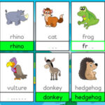 TYPING FLASHCARDS for kids