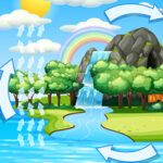 The Water Cycle