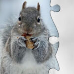 Winter Jigsaw Puzzles