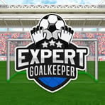 Soccer Goalkeeper Challenge Game